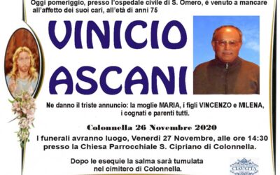 Vinicio Ascani