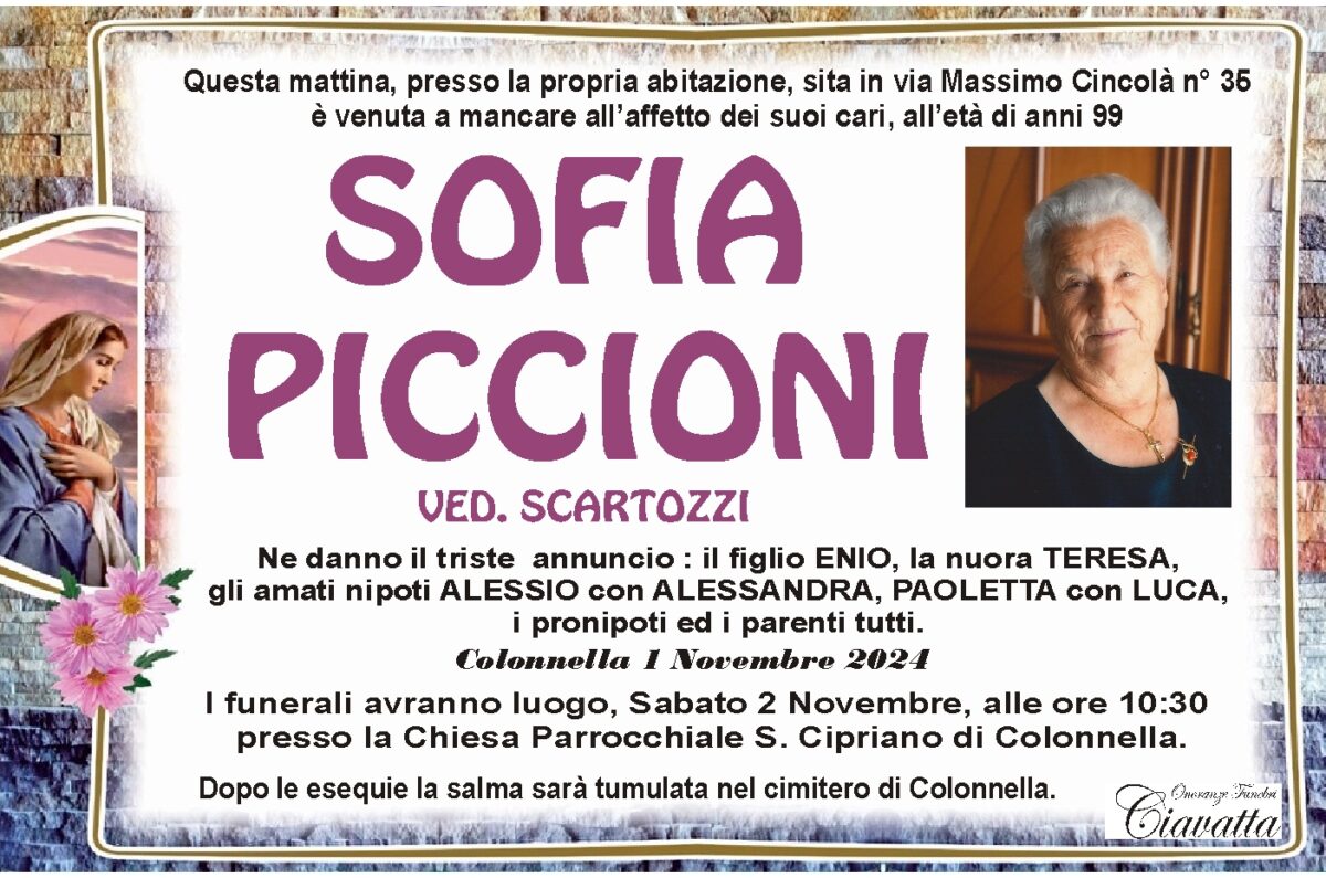 PICCIONI-SOFIA-1.11.2024-WEB.jpg